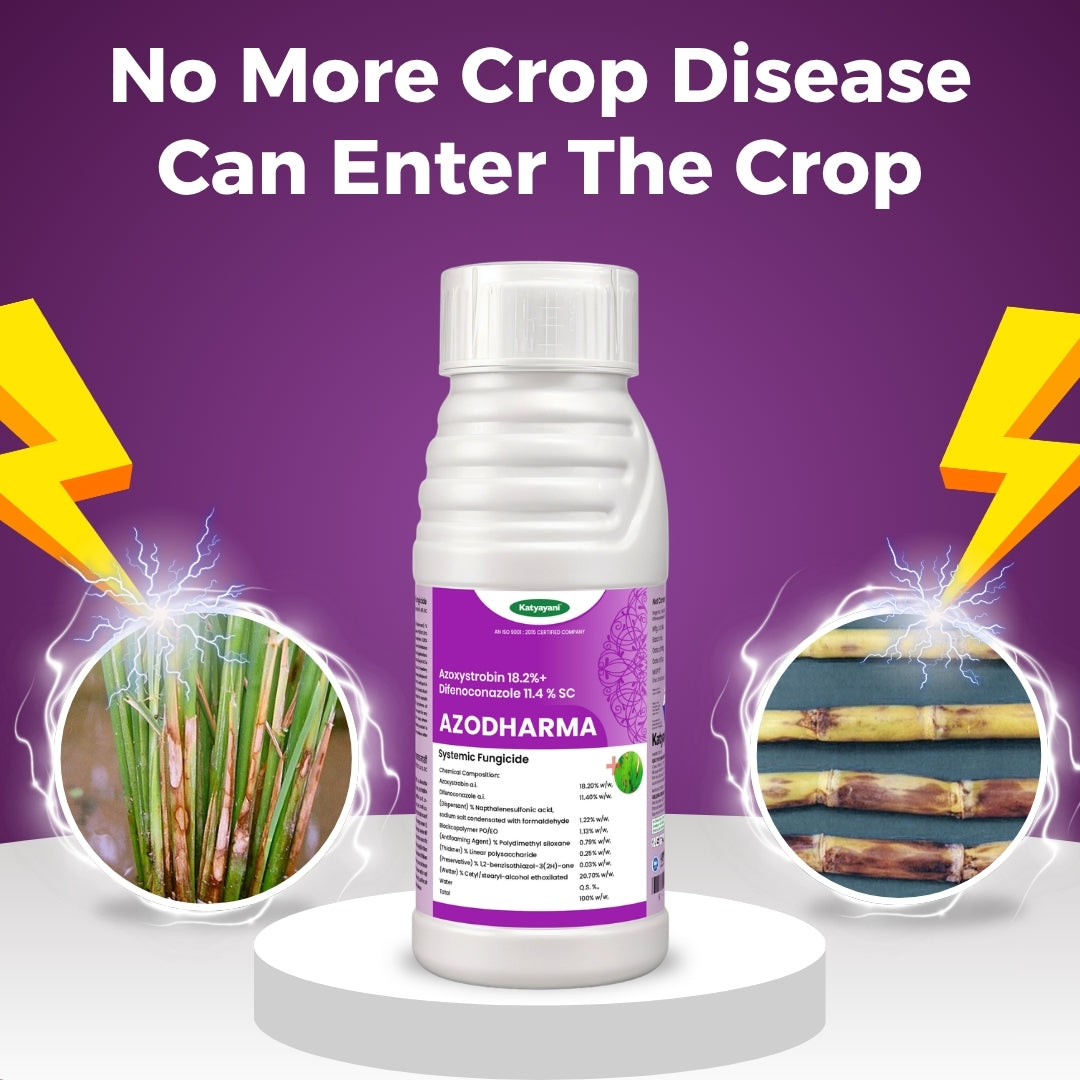 Katyayani Azodharma | Azoxystrobin 18.2% + Difenoconazole 11.4% SC | Broad- Spectrum Fungicide