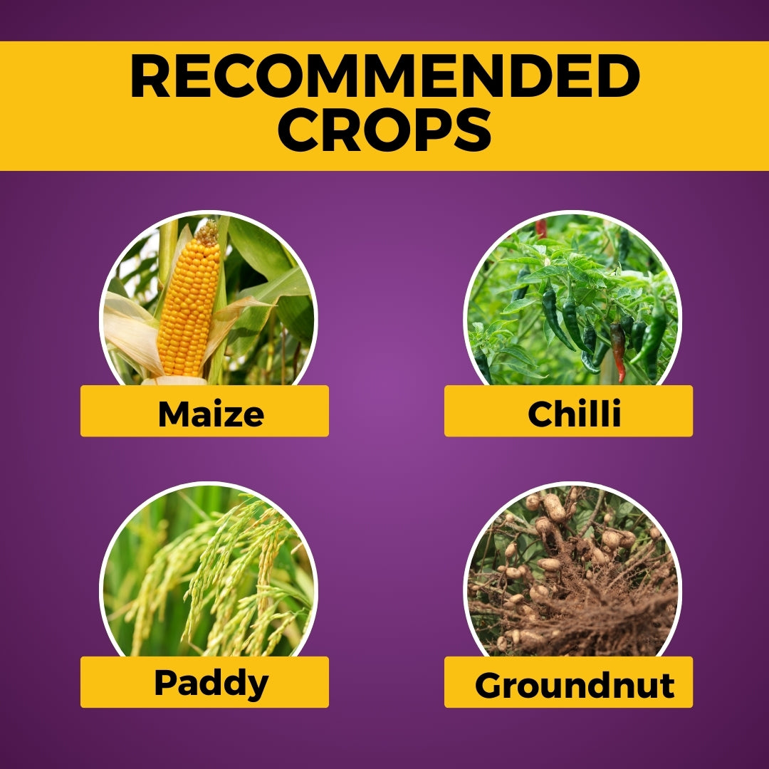 Katyayani Azodharma | Azoxystrobin 18.2% + Difenoconazole 11.4% SC | Broad- Spectrum Fungicide