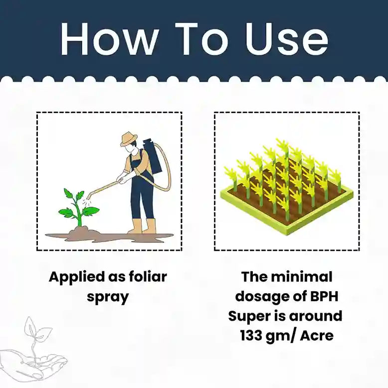 Katyayani BPH Super + (1+1 Free)