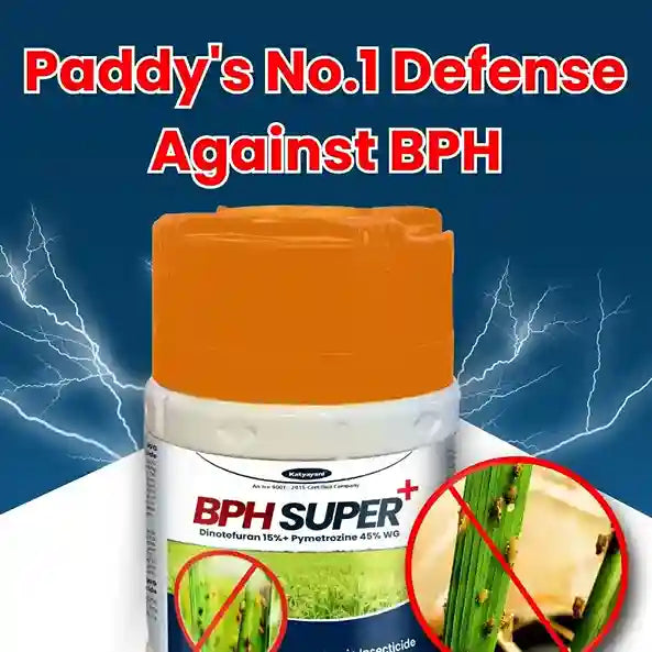 Katyayani BPH Super + (1+1 Free)