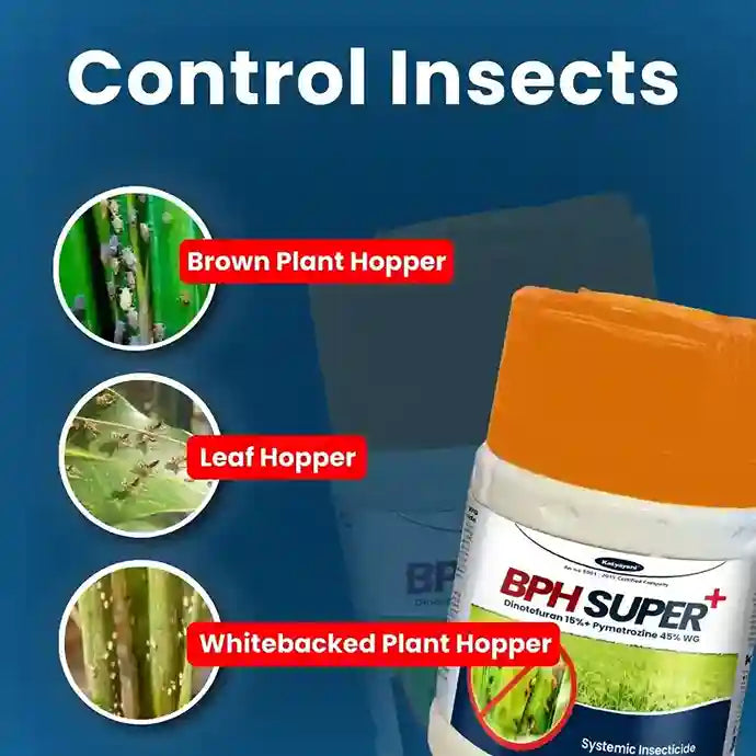 Katyayani BPH Super + Dinotefuran 15% + Pymetrozine 45% WG Chemical Insecticide for leaf hopper, brown plant hopper