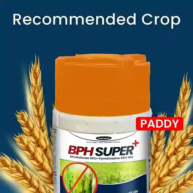 Katyayani BPH Super + (1+1 Free)