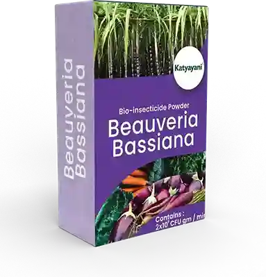 Buy Katyayani Verticillium Lecanii Bio Insecticide Powder | Katyayani Krishi Direct