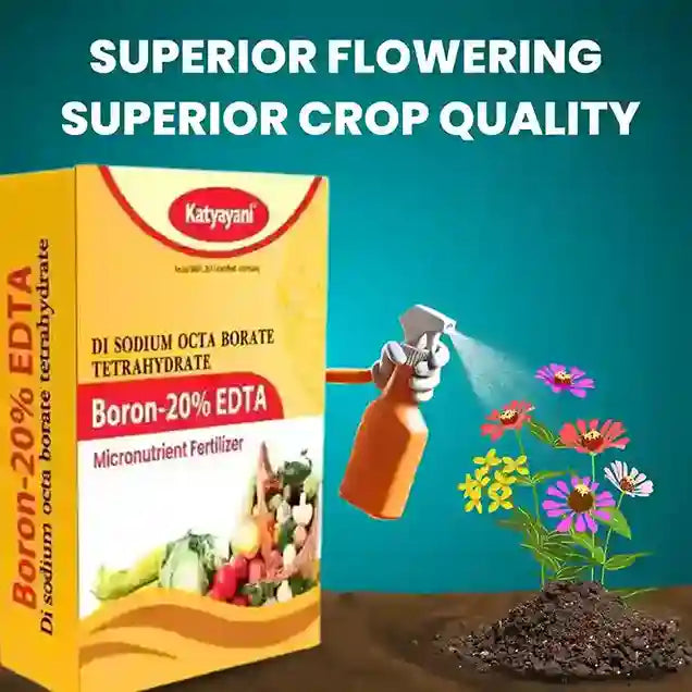 boron fertilizer Boron 20% EDTA Increases the production of flowers and fruits in the crops