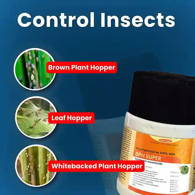 Katyayani BPH Super Pymetrozine 50 % WG best Insecticide for leaf, brown plant hopper
