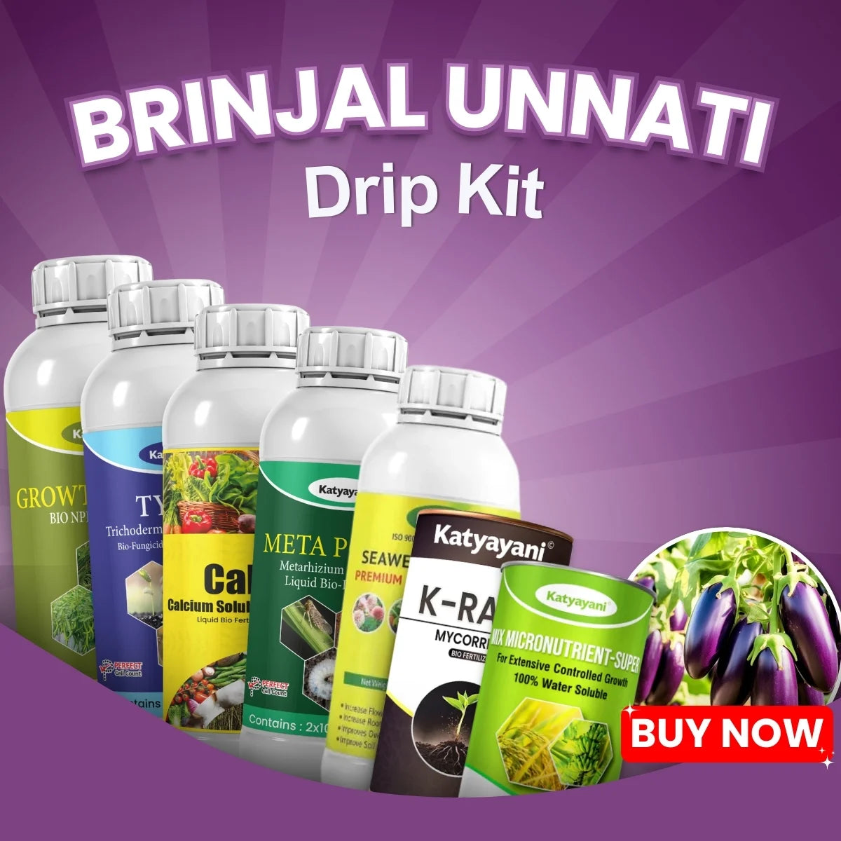 Katyayani Brinjal Unnati Drip Kit - Disease Fighter