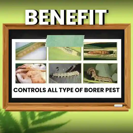 Shop Katyayani Samhar Bt Bio Larvicide Liquid For Borers