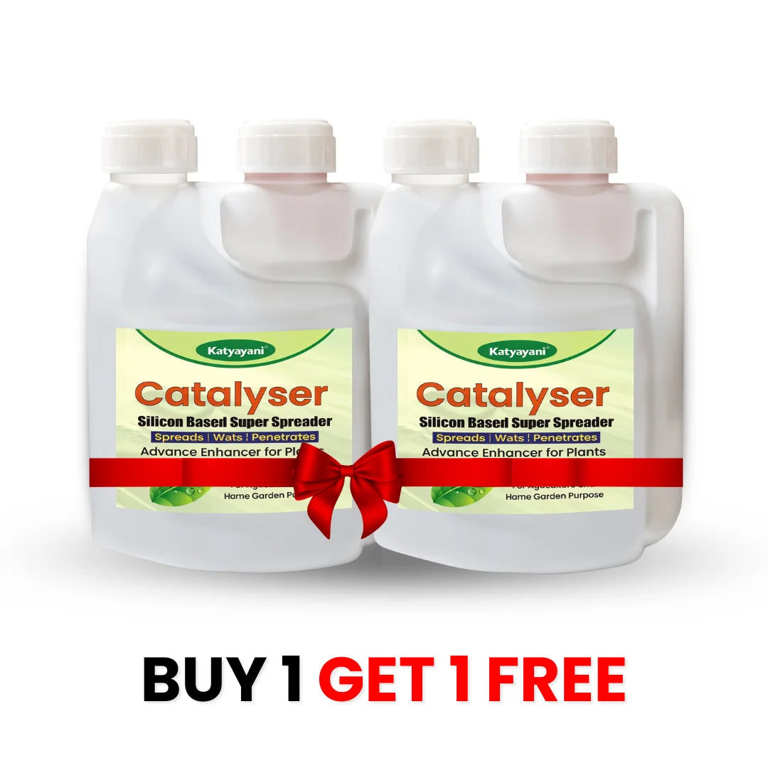Katyayani Catalyser Silicon Super Spreader (1+1 Free)