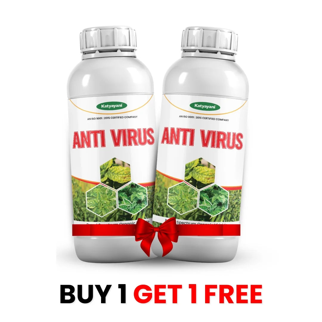 KATYAYANI ANTIVIRUS (1+1 Free)