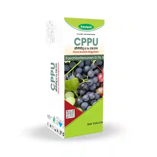 Katyayani CPPU | Forchlorfenuron 0.1 % L | Plant Growth Regulator