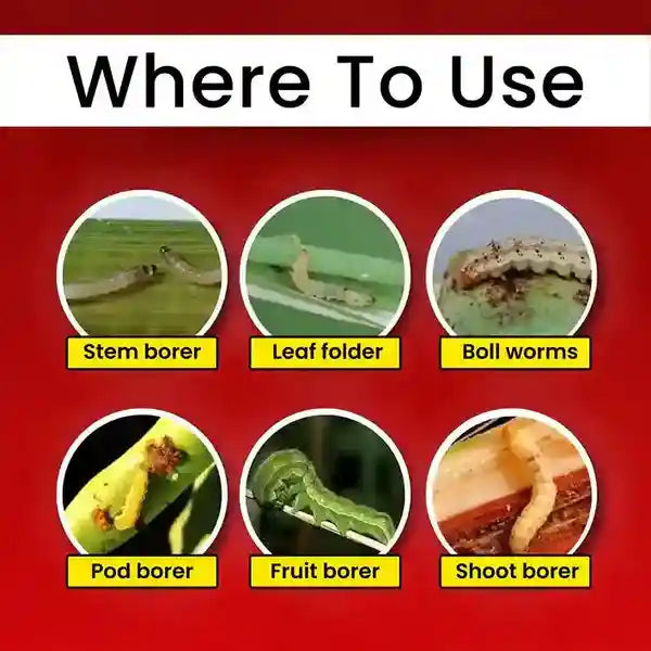 chlorantraniliprole 18.5% SC for pests