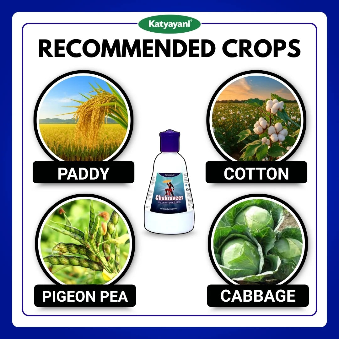 Katyayani Chakraveer | Chlorantraniliprole 18.5% SC | Chemical Insecticide (Bulk Quantity)