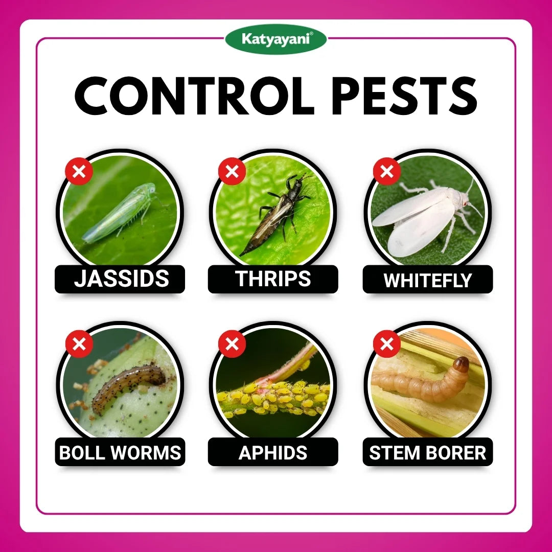 Katyayani Chakrawarti | Thiamethoxam 12.6% + Lambda Cyhalothrin 9.5% Zc | Chemical Insecticide