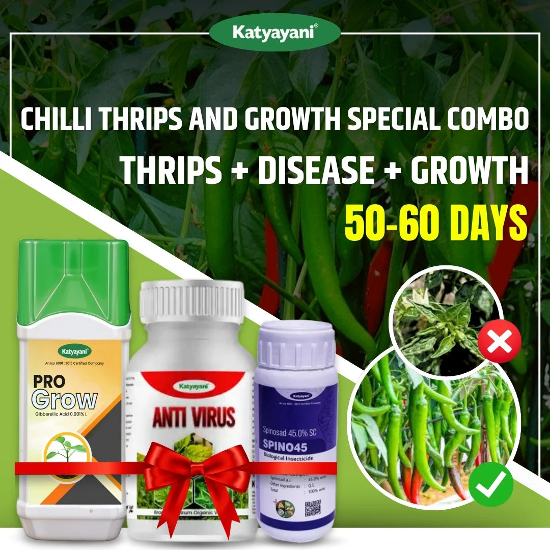 Katyayani Chilli Complete Protection and Growth Combo
