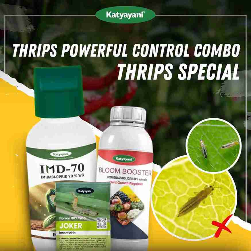 Katyayani Thrips Powerful Control Combo