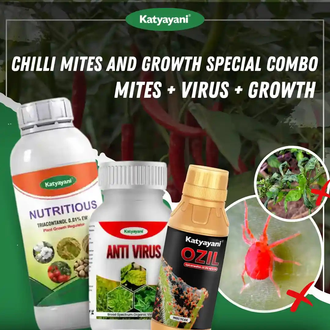 Katyayani Chilli Mites and Growth Special Combo (40-60 Days)