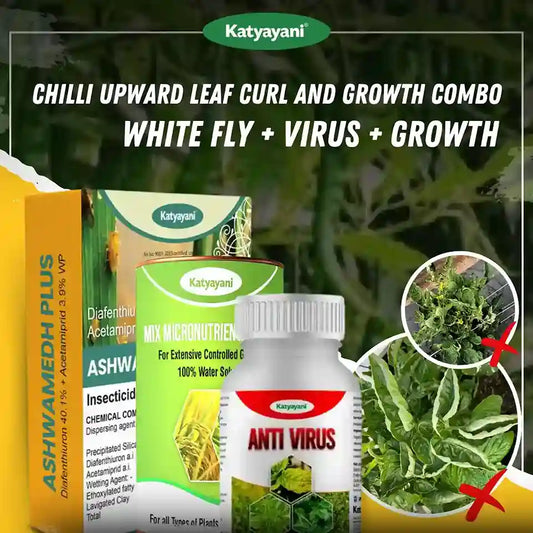 Katyayani Chilli Upward Leaf Curl and Growth Combo | 25-30 Days