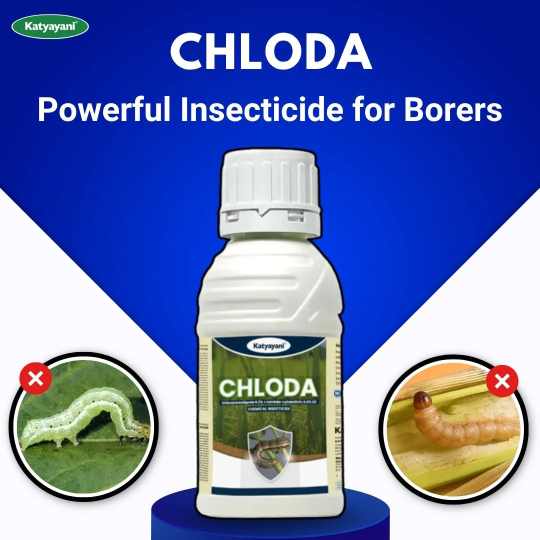 Katyayani Chloda | Chlorantraniliprole 9.3% + Lambda Cyhalothrin 4.6% ZC | Chemical insecticide