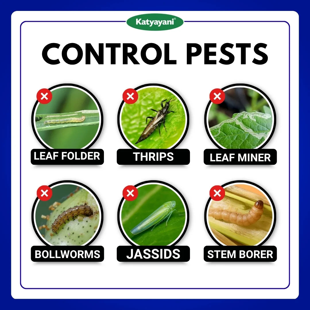 Katyayani Chloda | Chlorantraniliprole 9.3% + Lambda Cyhalothrin 4.6% ZC | Chemical insecticide