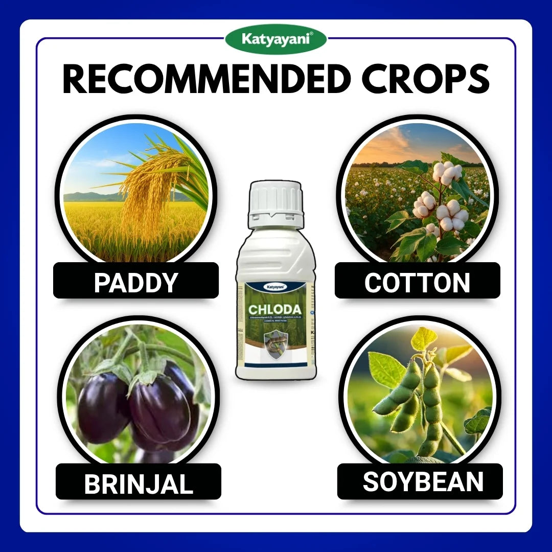 Katyayani Chloda | Chlorantraniliprole 9.3% + Lambda Cyhalothrin 4.6% ZC | Chemical insecticide