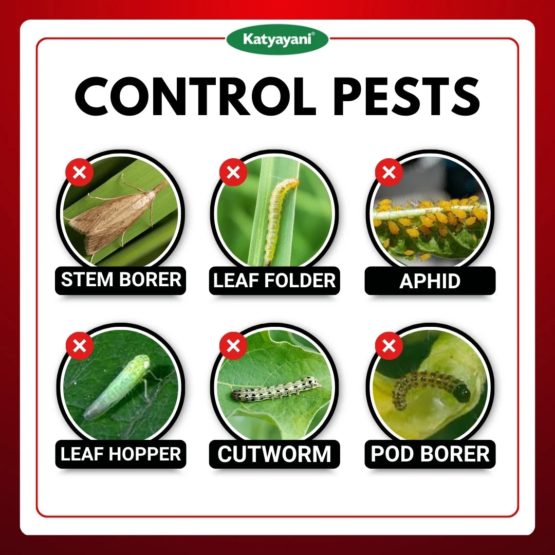 Katyayani Chloro CS | Chloropyriphos 20 % CS | Chemical insecticide