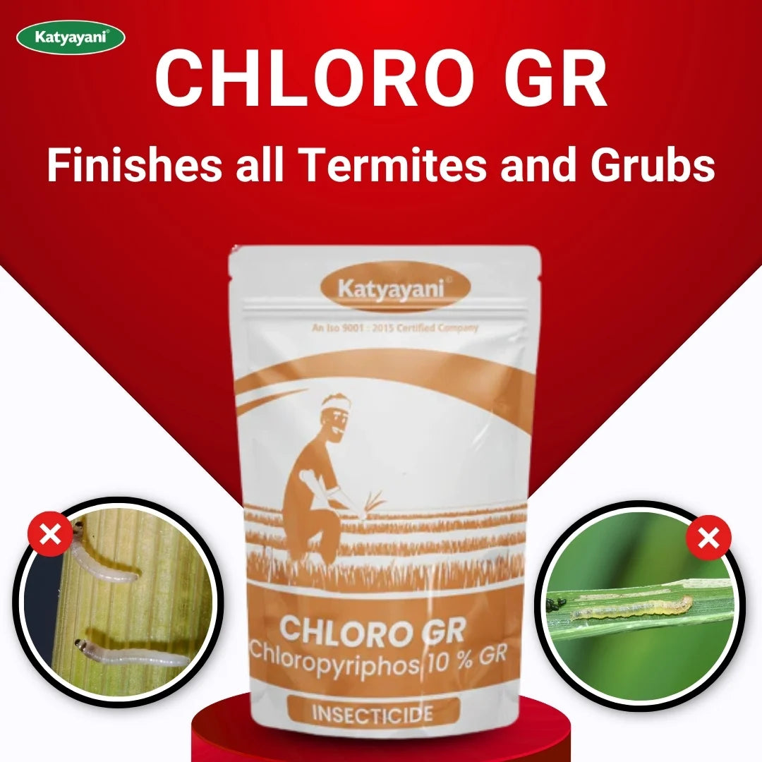Katyayani Chloro GR | Chloropyriphos 10 % GR | Chemical insecticide