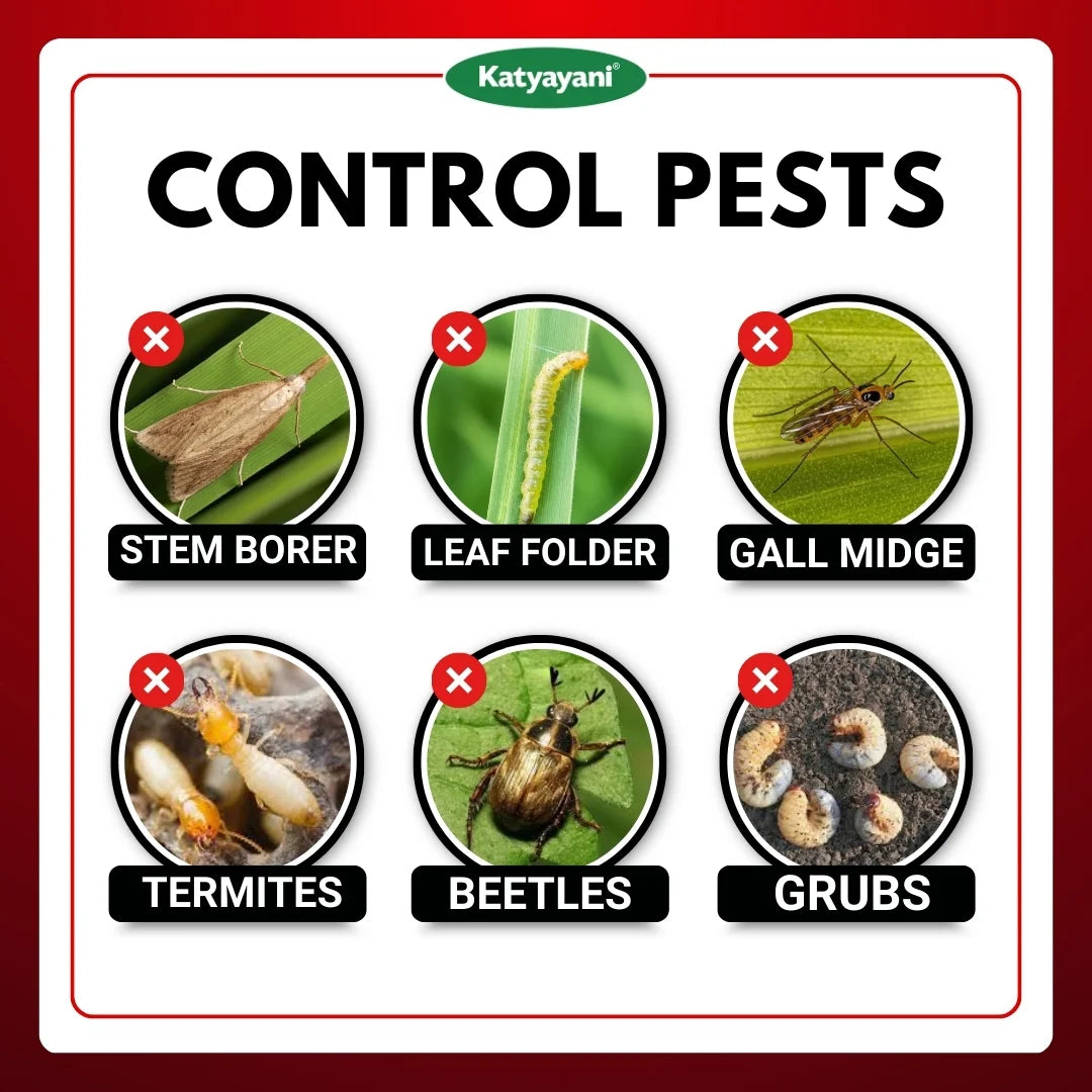 Katyayani Chloro GR | Chloropyriphos 10 % GR | Chemical insecticide