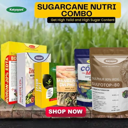 Katyayani Sugarcane Nutri Kit