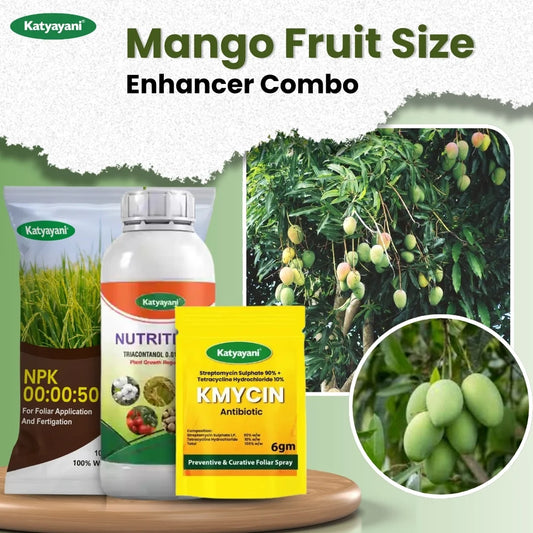 MANGO FRUIT SIZE ENHANCER COMBO (Kmycin 30 gm + Nutritious 1 lit + NPK 00 00 50 2 kg)