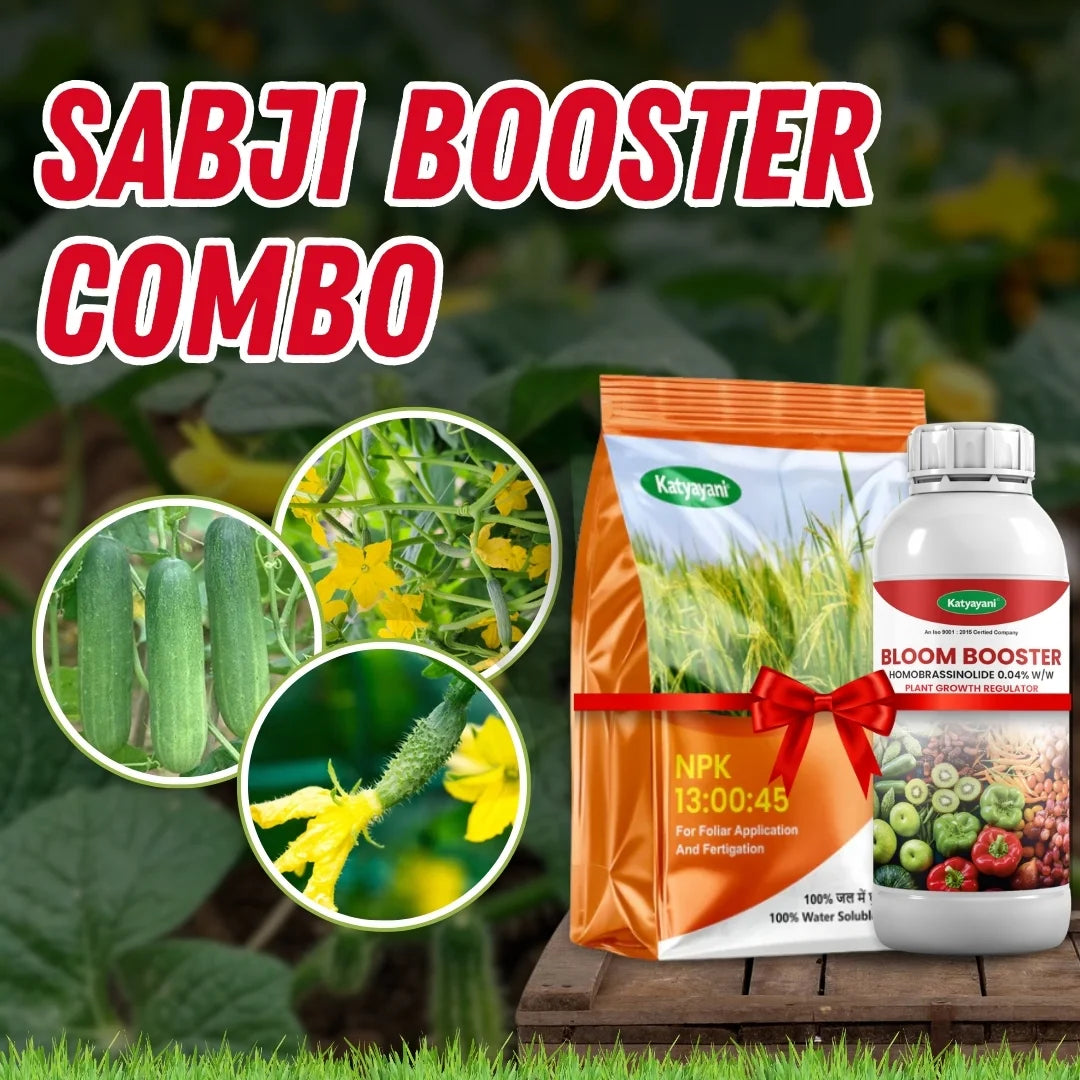 Katyayani Sabji Booster Combo – Boost Flowering, Fruit Setting, and Yield