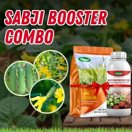 Katyayani Sabji Booster Combo – Boost Flowering, Fruit Setting, and Yield