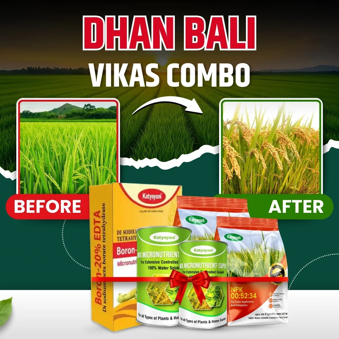 Katyayani Dhan bali vikas combo for 2 Acre