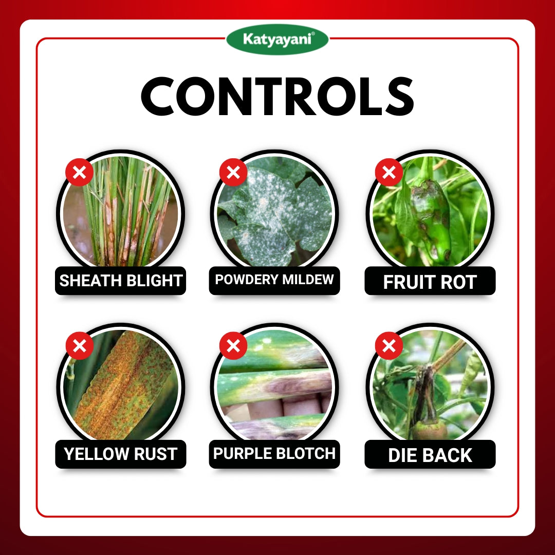 Katyayani Dr. Zole | Azoxystrobin 11% + Tebuconazole 18.3% SC | Chemical Fungicide