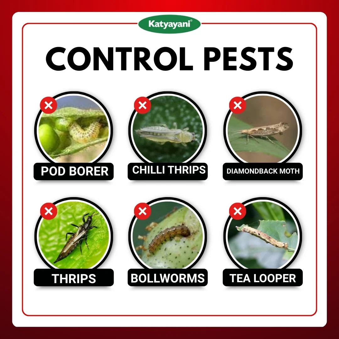 Katyayani EMA 5 | Emamectin Benzoate 5% SG Insecticide for Thrips, Pod borer, Fruit & Shoot Borer