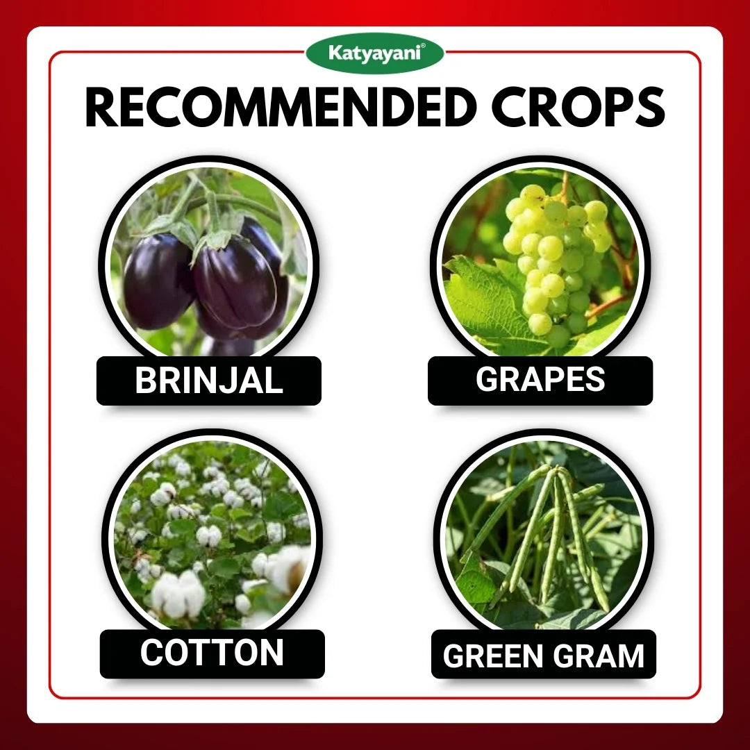 Katyayani EMA 5 | Emamectin Benzoate 5% SG Insecticide for Thrips, Pod borer, Fruit & Shoot Borer