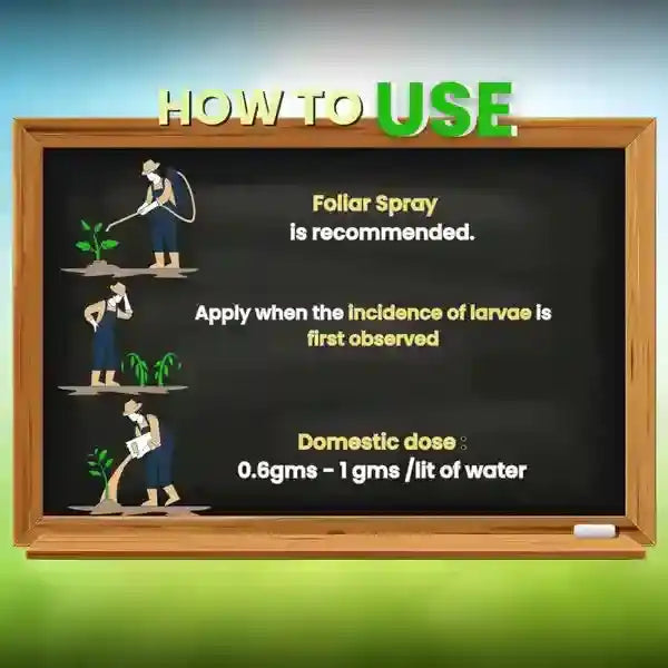 EMA 5 Insecticide Dosage | Katyayani Krishi Direct