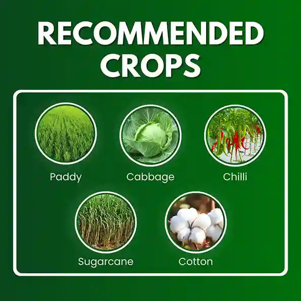 Katyayani Fantasy | Fipronil 5% SC | Chemical insecticide for paddy, chilli, cabbage