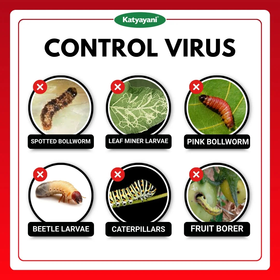 KATYAYANI FINISH IT | ALL IN ONE LARVICIDE | ORGANIC INSECTICIDE (Bulk Quantity)
