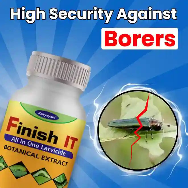 Katyayani finish it effective against borer