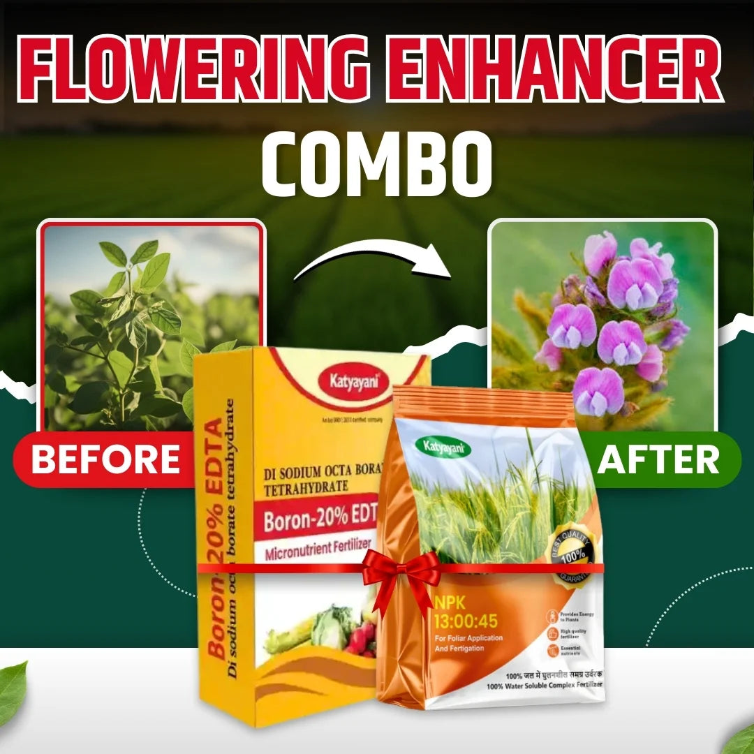 Katyayani Flowering Enhancer Combo | Boron 20% EDTA (200 GM) and NPK 13 00 45 Fertilizer (1 KG)