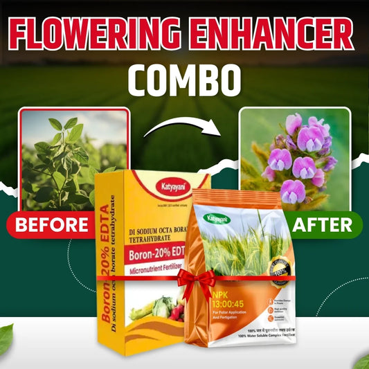 Katyayani Flowering Enhancer Combo | Boron 20% EDTA (200 GM) and NPK 13 00 45 Fertilizer (1 KG)