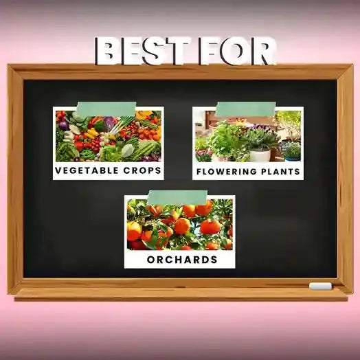 Flowering_Booster_Fertilizer | Katyayani Krishi Direct