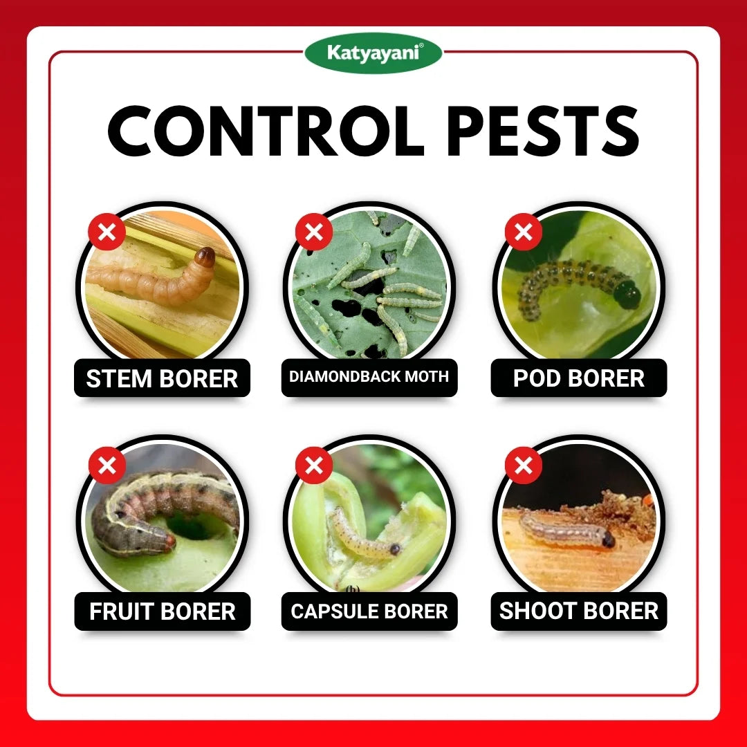 Katyayani Fluben | Flubendiamide 39.35% SC | Chemical Insecticide