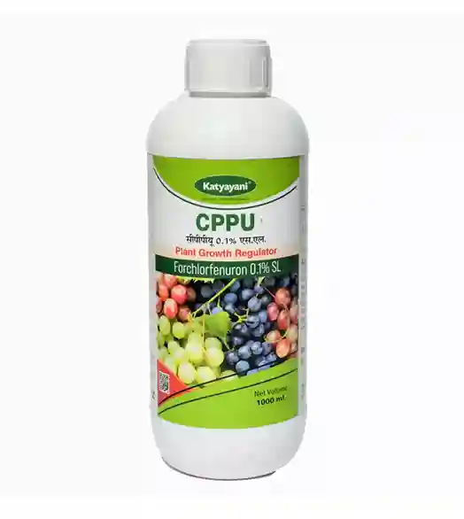 Katyayani CPPU | Forchlorfenuron 0.1 % L | Plant Growth Regulator
