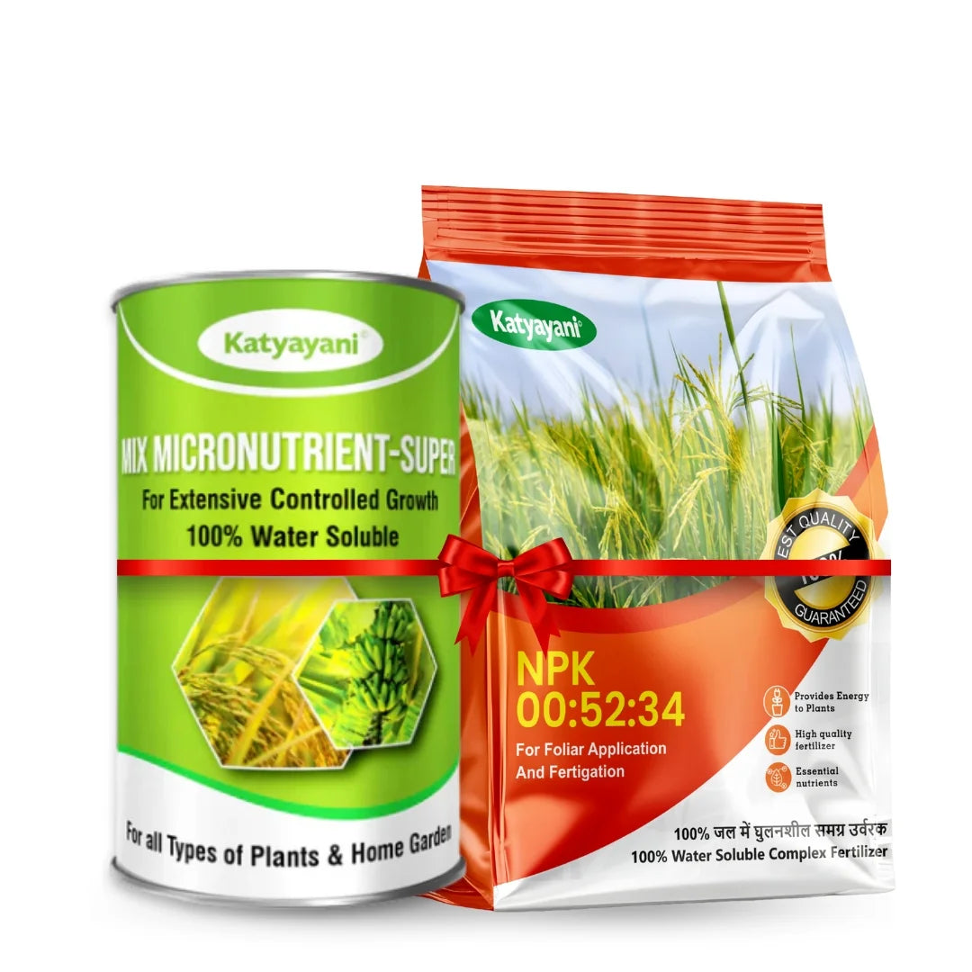 Katyayani Garlic Bulb Growth Combo (60-80 Days) - Bulb Growth Solution