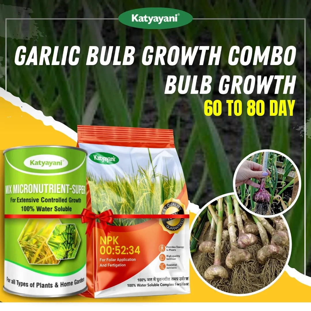 Katyayani Garlic Bulb Growth Combo (60-80 Days) - Bulb Growth Solution