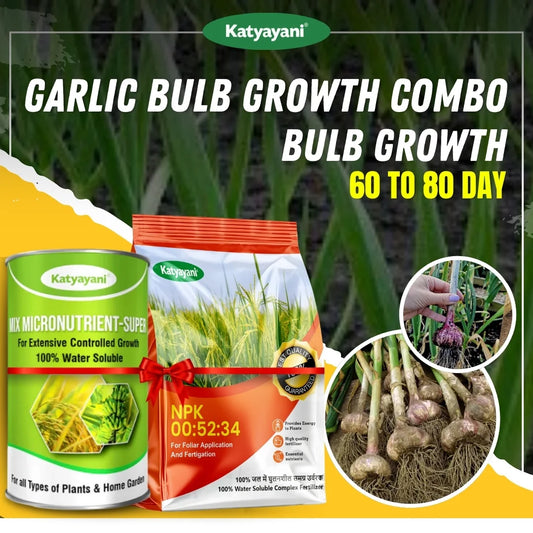 Katyayani Garlic Bulb Growth Combo (60-80 Days) - Bulb Growth Solution