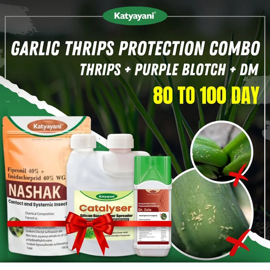 Katyayani Garlic thrips Protection combo (80-100 Days) - Thrips Management