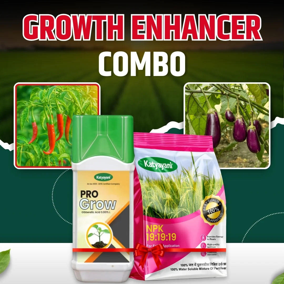 Katyayani Growth Enhancer Combo | NPK 19 19 19 Fertilizer (1KG) and Gibberellic Acid PGR (250ML)