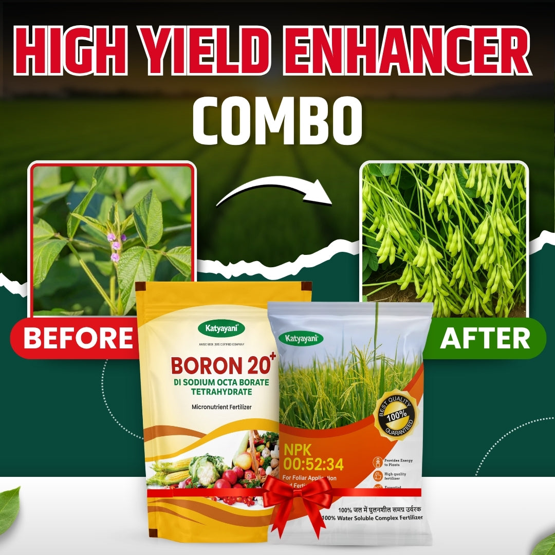 Katyayani High yield Enhancer Combo | NPK 00 52 34 (1KG) and Boron 20% EDTA Fertilizer (500GM)